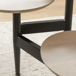 Table Basse<Made in Meubles Table basse en bois de manguier Dounia