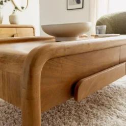 Table Basse<Made in Meubles Table basse en bois de manguier Féodor