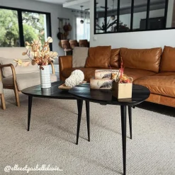 Table Basse|Table Gigogne<Made in Meubles Table basse gigogne en bois de manguier noir Valério